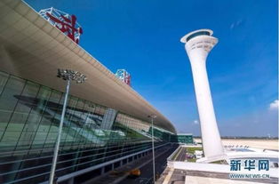 武漢，網(wǎng)紅城市的魅力正在綻放