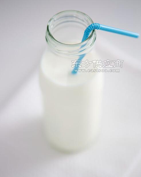 武漢綠洲海食品 匠心打造優質豆奶，傳遞健康與美味